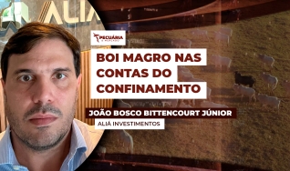 João Bosco Bittencourt Júnior - Aliá Investimentos