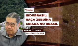 Roberto Goes - Presidente da ABCI
