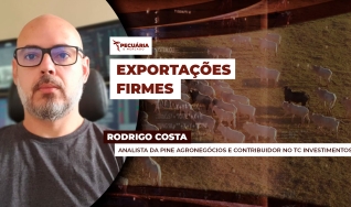 Rodrigo Costa - Analista da PINE Agronegócios e Contribuidor no TC Investimentos