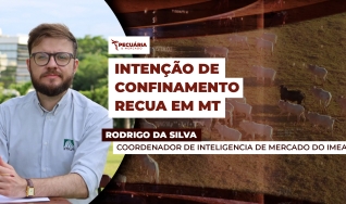Rodrigo da Silva - Coordenador de Inteligencia de Mercado do IMEA