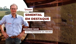 Rogério Naim - Vice-Presidente da ABCRSS