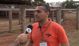 Rogério Fonseca Peres – Diretor de Pecuária Agro Nelore Paranã