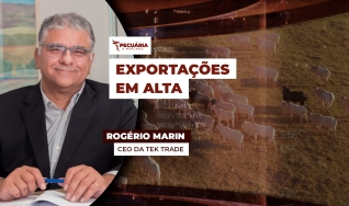 Rogério Marin - CEO da Tek Trade