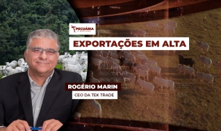 Rogério Marin - CEO da Tek Trade