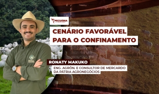 Ronaty Makuko - Eng. Agrôn. e Consultor de Mercardo da Pátria Agronegócios