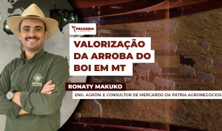 Ronaty Makuko - Eng. Agrôn. e Consultor de Mercardo da Pátria Agronegócios