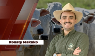 Ronaty Makuko - Eng. Agrôn e Consultor de mercardo da Pátria Agronegócios