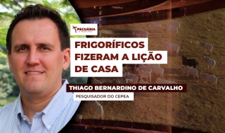 Thiago Bernardino de Carvalho - Pesquisador do Cepea