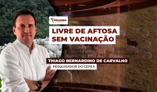 Thiago Bernardino de Carvalho - Pesquisador do Cepea