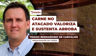Thiago Bernardino de Carvalho - Pesquisador do Cepea