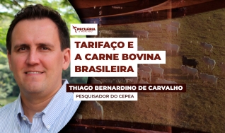 Thiago Bernardino de Carvalho - Pesquisador do Cepea