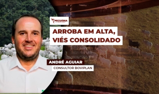 André Aguiar - Sócio e Consultor da Boviplan
