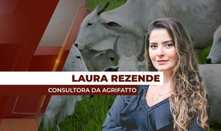 Laura Rezende - Consultora da Agrifatto