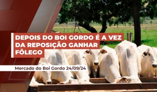 Ronaty Makuko - Consultor Comercial da Pátria Agronegócios