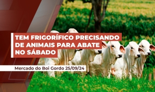 André Aguiar - Sócio e Consultor da Boviplan