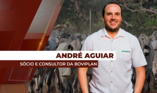 André Aguiar - Sócio e Consultor da Boviplan