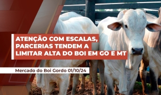 Rafael Grings - Consultor da Hedge Agro Consultoria