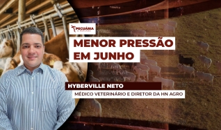 Hyberville Neto - Médico veterinário e Diretor da HN AGRO