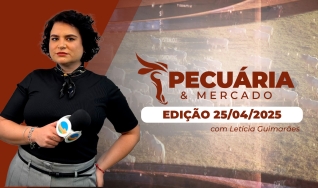 Pecuária e Mercado - Programa Completo