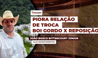 João Bosco Bittencourt Júnior - Aliá Investimentos