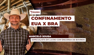 Marcelo Sousa - Especialista em lucro com engorda de bovinos