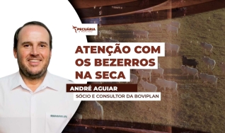André Aguiar - Sócio e Consultor da Boviplan