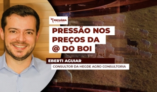 Eberti Aguiar - Consultor da Hegde Agro Consultoria