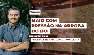 Felipe Fabbri - Analista de Mercado da Scot Consultoria