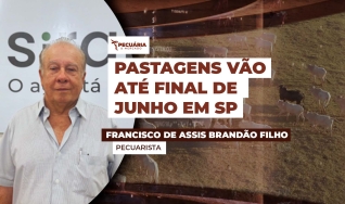 Francisco Brandão - Pecuarista