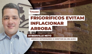 Hyberville Neto - Médico veterinário e Diretor da HN AGRO