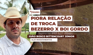 João Bosco Bittencourt Júnior - Aliá Investimentos