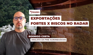 Rodrigo Costa - Analista da PINE Agronegócios e Contribuidor no TC Investimentos
