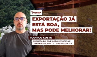 Rodrigo Costa - Analista da PINE Agronegócios e Contribuidor no TC Investimentos