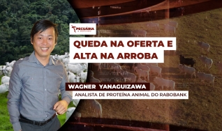 Wagner Hiroshi Yanaguizawa - Analista de Proteína Animal do Rabobank