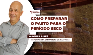 Wagner Pires - Especialista em Manejo de Pastagem