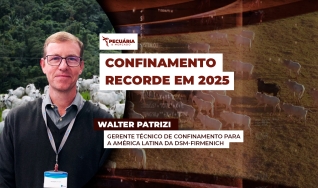 Walter Patrizi - Gerente técnico de confinamento para a América Latina da DSM-firmenich