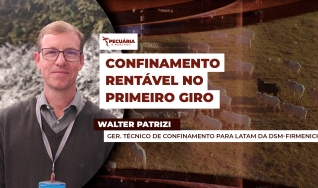 Walter Patrizi - Gerente técnico de confinamento para a América Latina da DSM-firmenich