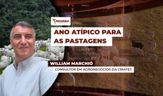 William Marchió - Consultor em Agronegócios da Criatec