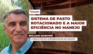 William Marchió - Consultor em Agronegócios da Criatec