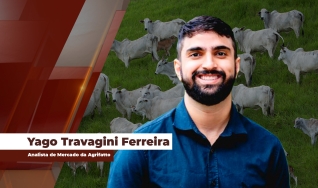 Yago Travagini Ferreira - Analista de Mercado da Agrifatto
