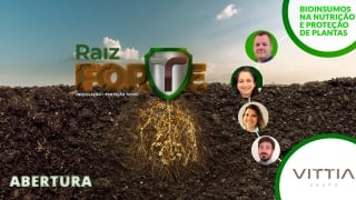 Abertura Raiz Forte - Vittia