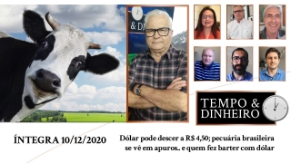 Tempo  & Dinheiro - Com João Batista Olivi