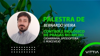 Bernardo Vieira - Palestra