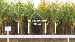 Entrevista com Marcus Santos - Líder de Agronomia da Corteva