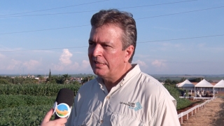 Fernando Prudente - Diretor de negócios de soja e algodão da divisão agrícola da Bayer