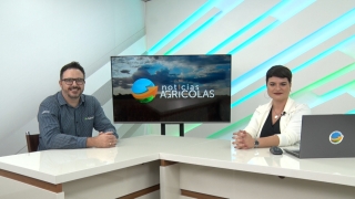 Juliano Vittori - Gerente de Produto para Aves da Cargill