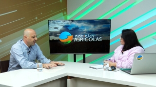 Hugo Molinari - Diretor de Pesquisa, desenvolvimento e inovação da WIN
