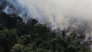 Francisco Beduschi Neto - Especialista em Agronegócio Sustentável da NWF