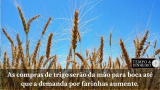 Tempo  & Dinheiro - Com João Batista Olivi