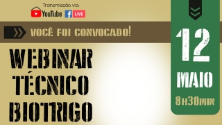 Bruno Alves - gerente regional norte da Biotrigo Genética
